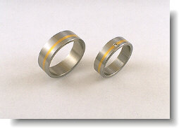 stainless + 24k bands.jpg (9055 bytes)