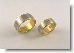 stainless + double 18k bands.jpg (9776 bytes)