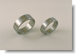 stainless bands.jpg (8146 bytes)
